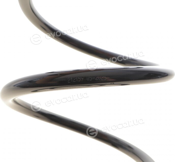 Solgy 212159