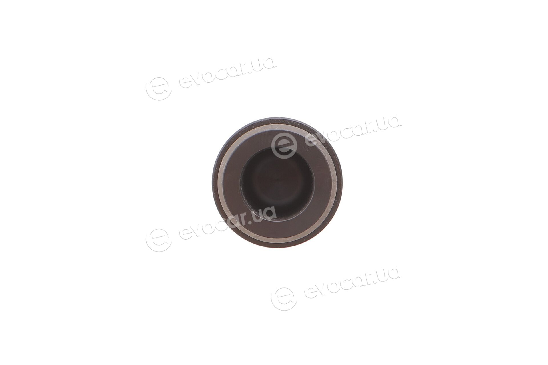 Frenkit P303202