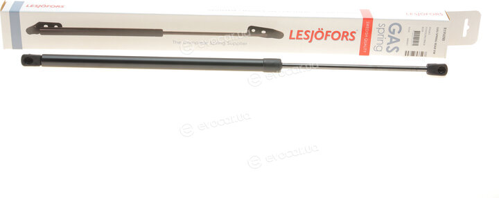 Lesjofors 8195090
