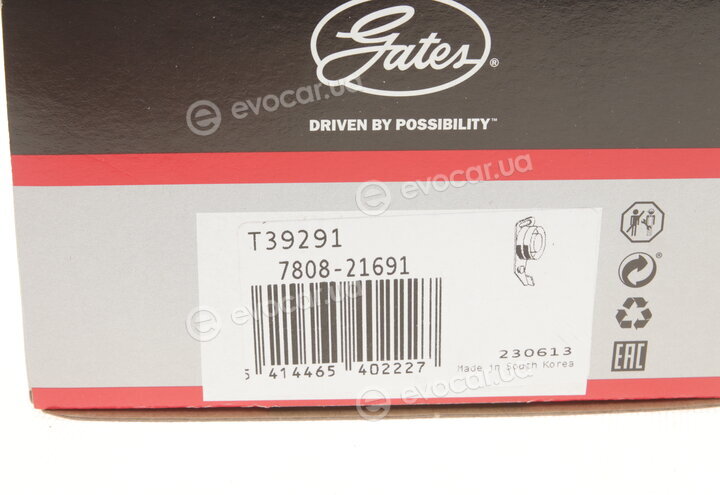 Gates T39291