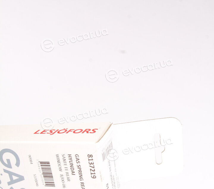 Lesjofors 8137219