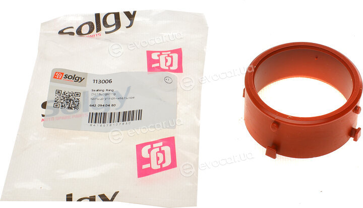 Solgy 113006