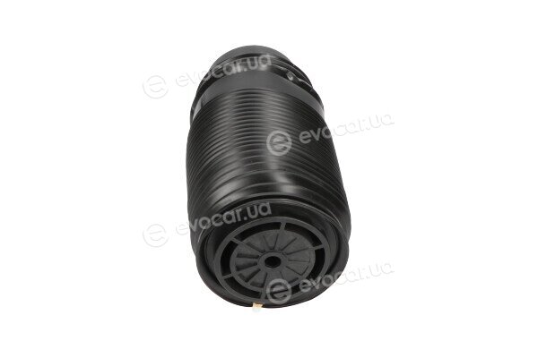 Kavo SAS-10014