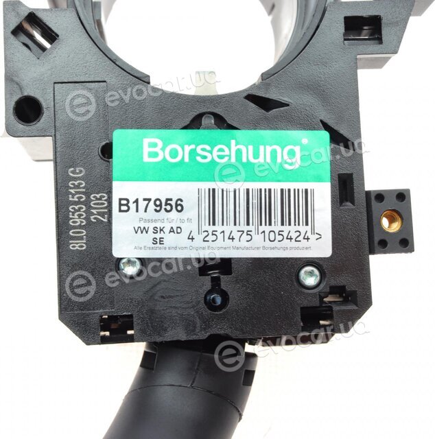 Borsehung B17956