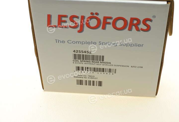 Lesjofors 4255452