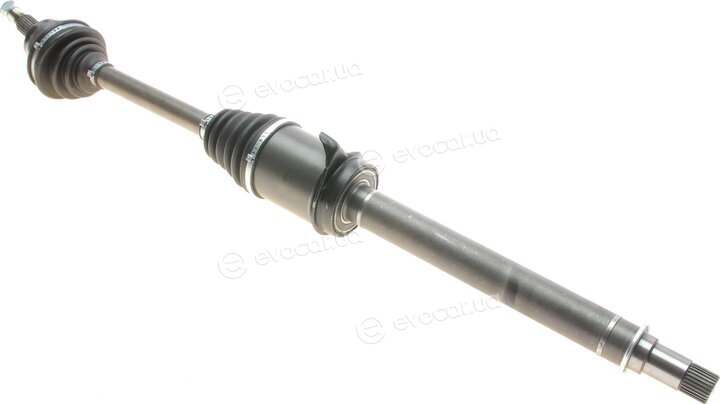 Magneti Marelli 302004190074