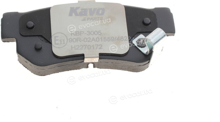 Kavo KBP-3005