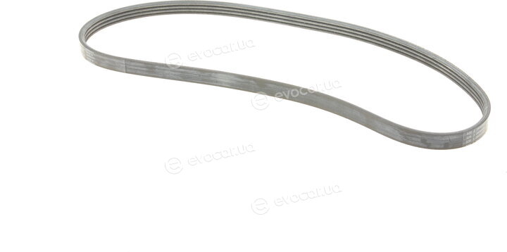 Continental 4PK922 ELAST T1