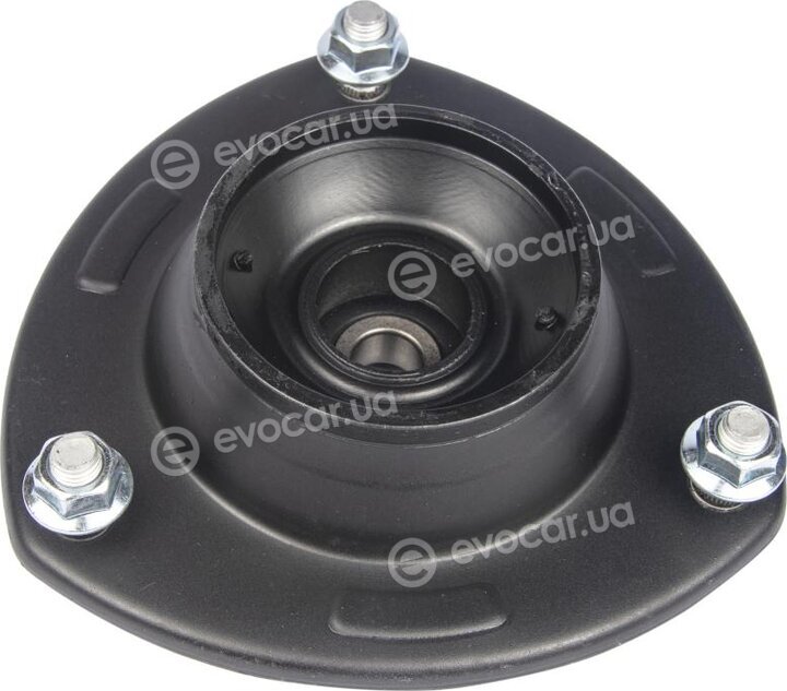 Raiso RC05295