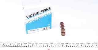 Victor Reinz 12-29491-05