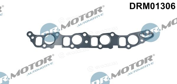 Dr. Motor DRM01306
