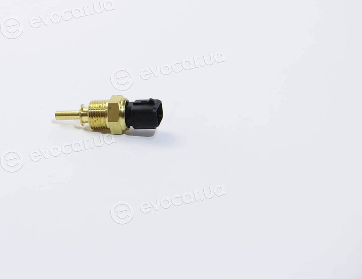 Vernet / Calorstat WS3101