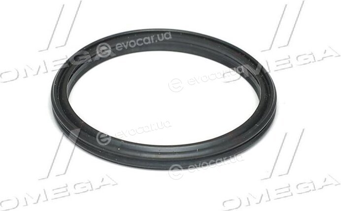 Elring 703.570