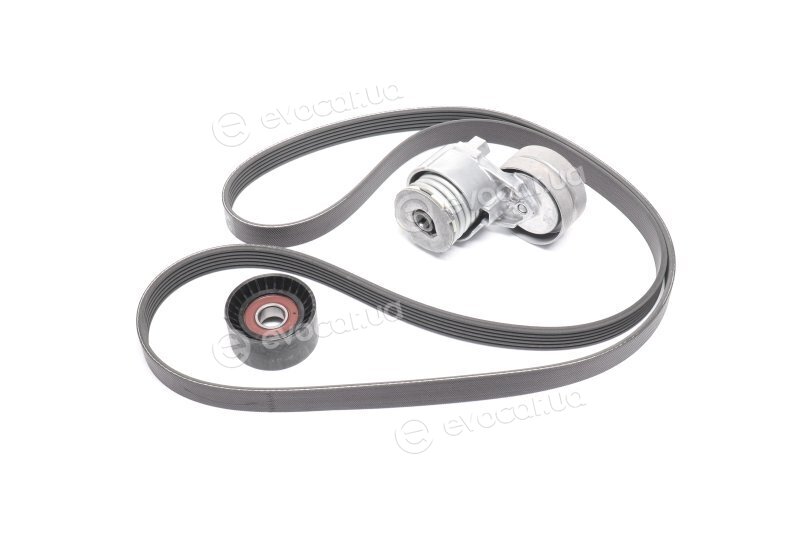Gates K036PK1795
