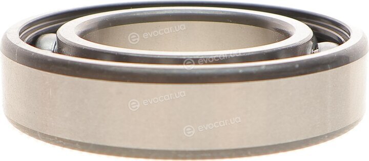 FAG 6007.C3