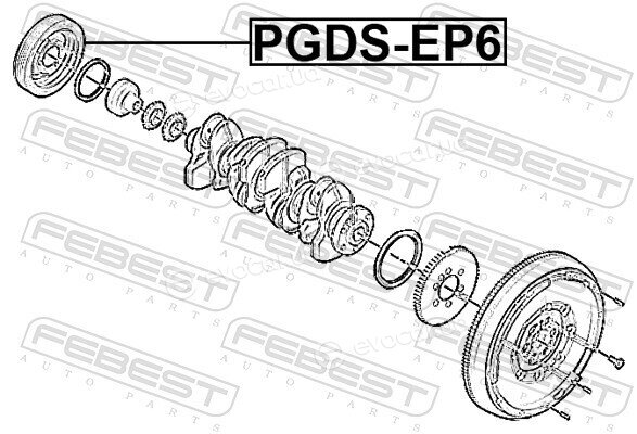 Febest PGDS-EP6