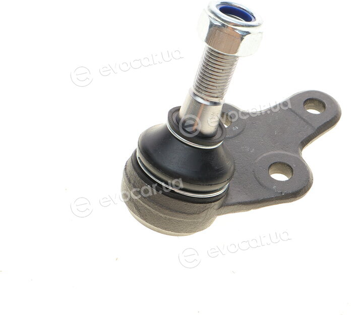 Solgy 203091