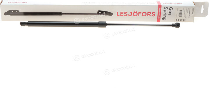 Lesjofors 8172926