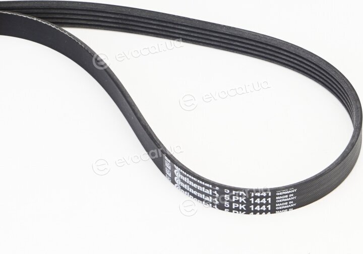 Continental 5PK1441
