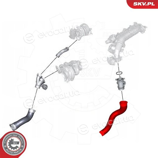 SKV 43SKV427
