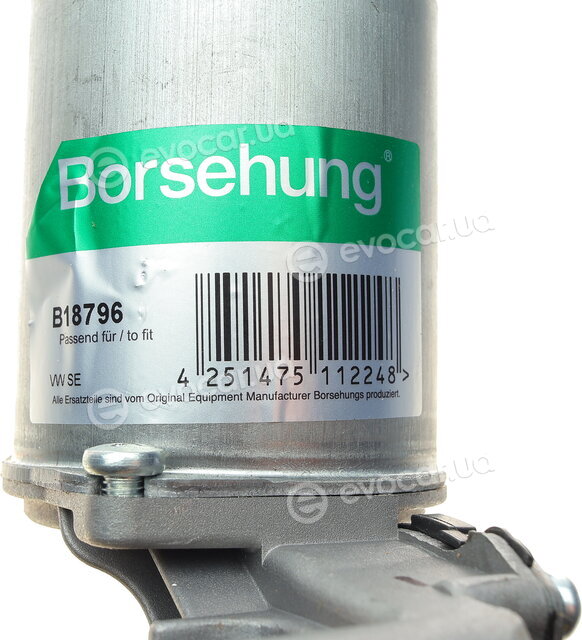 Borsehung B18796