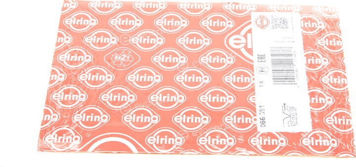 Elring 066.391