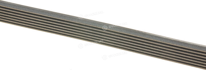 Continental 7PK1236