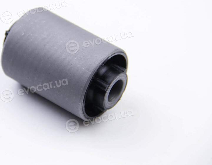 BC Guma 0117
