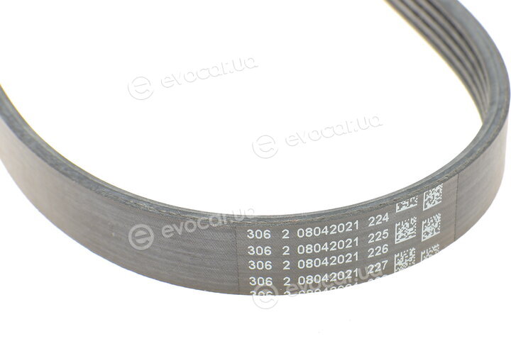 Continental 5PK705 ELAST