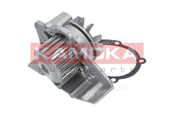 Kamoka T0095