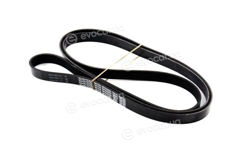 Dayco 6PK2203