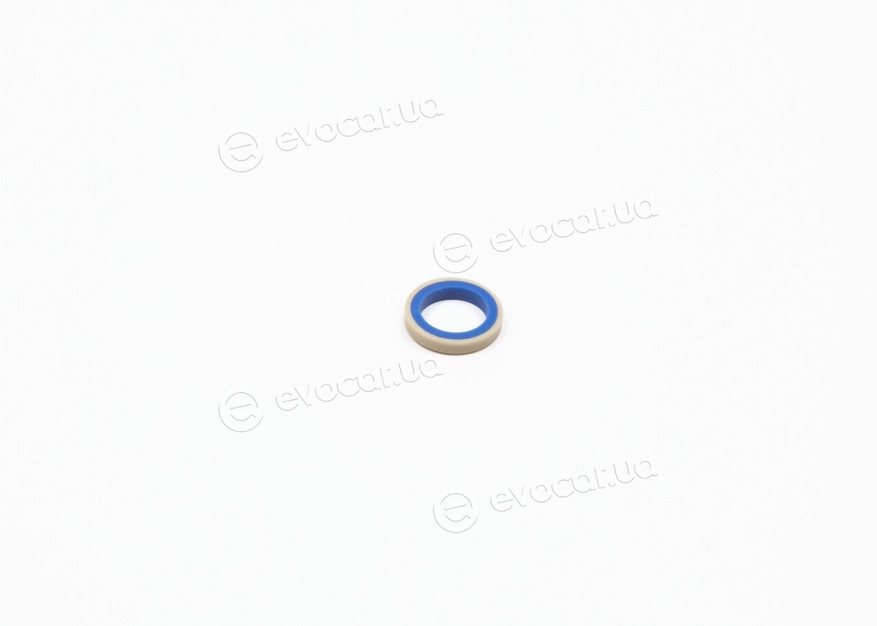 Bosch F 01M 101 537