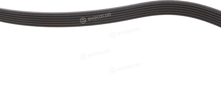 Dayco 6PK1822K