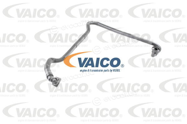 Vaico / Vemo V10-2679