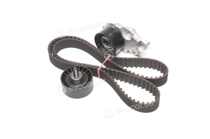 Dayco KTB559