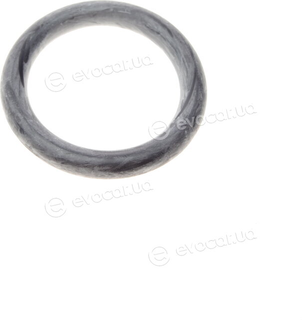 Elring 389.121