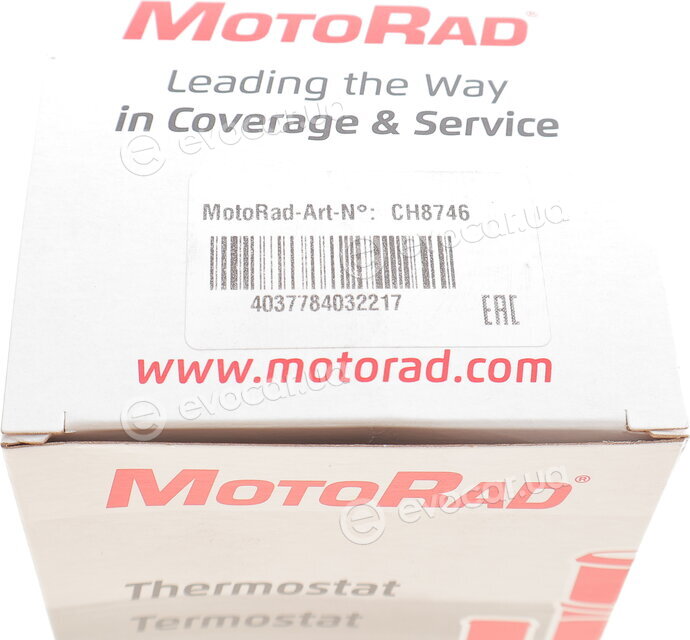 Motorad CH8746