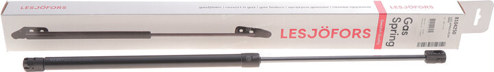 Lesjofors 8104250