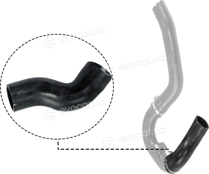Rapro R11589