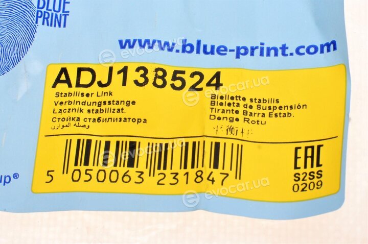 Blue Print ADJ138524