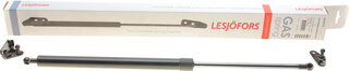 Lesjofors 8149102