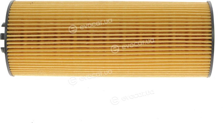Solgy 101023