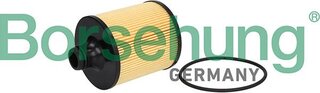 Borsehung B13074