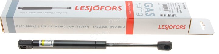Lesjofors 8182911