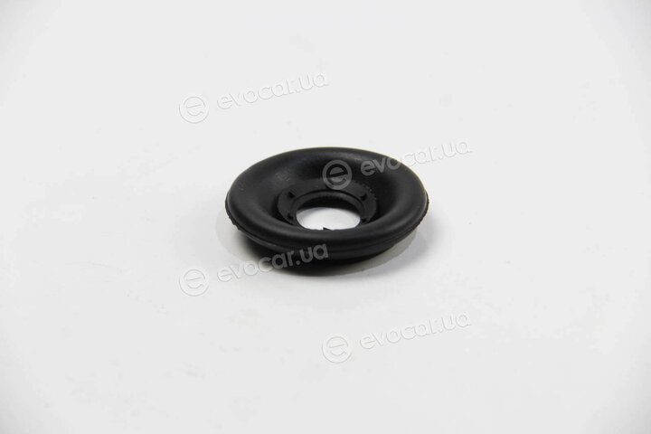 BC Guma 0205