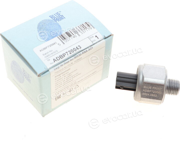 Blue Print ADBP720043