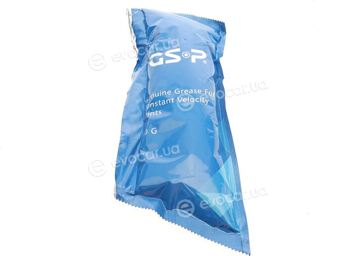 GSP 760173