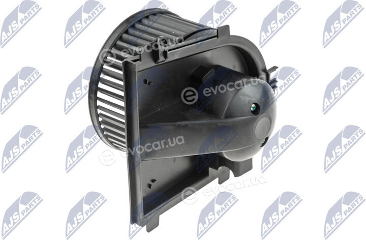 NTY EWN-VW-008