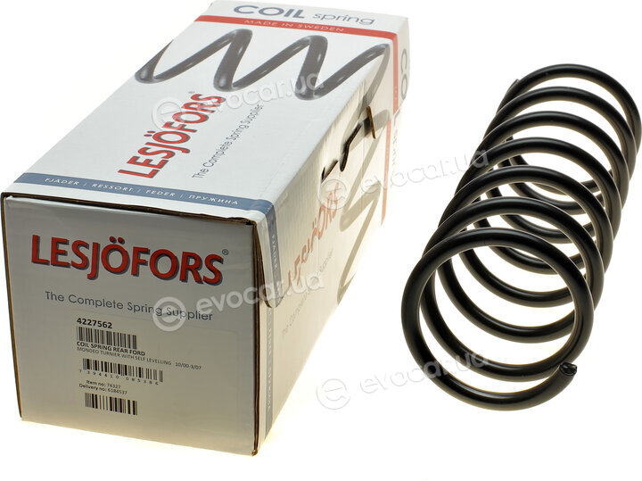 Lesjofors 4227562