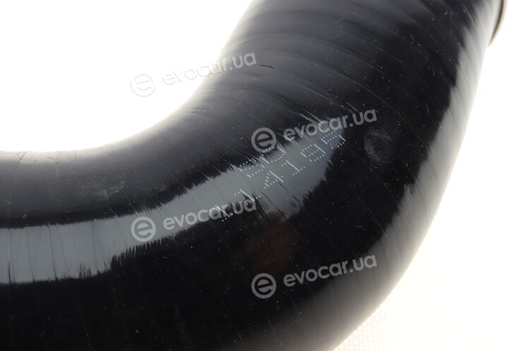 Solgy 114195